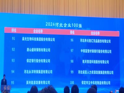 熱烈祝賀丨諾亞人力集團(tuán)榮登河北企業(yè)百強(qiáng)、蟬聯(lián)河北服務(wù)業(yè)企業(yè)百強(qiáng)榜單！